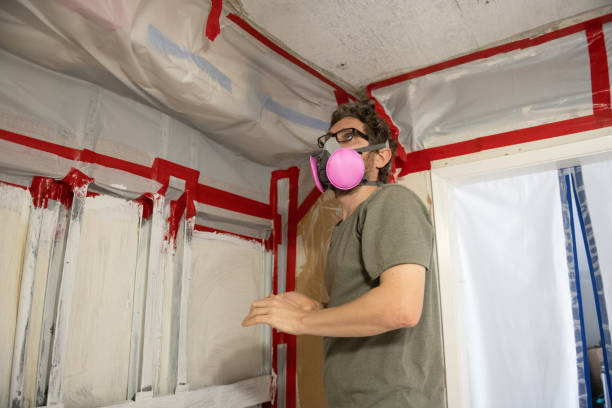 Best Real Estate Mold Inspection  in Placerville, CA
