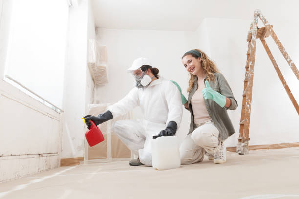 Best Mold Remediation for Healthcare Facilities  in Placerville, CA